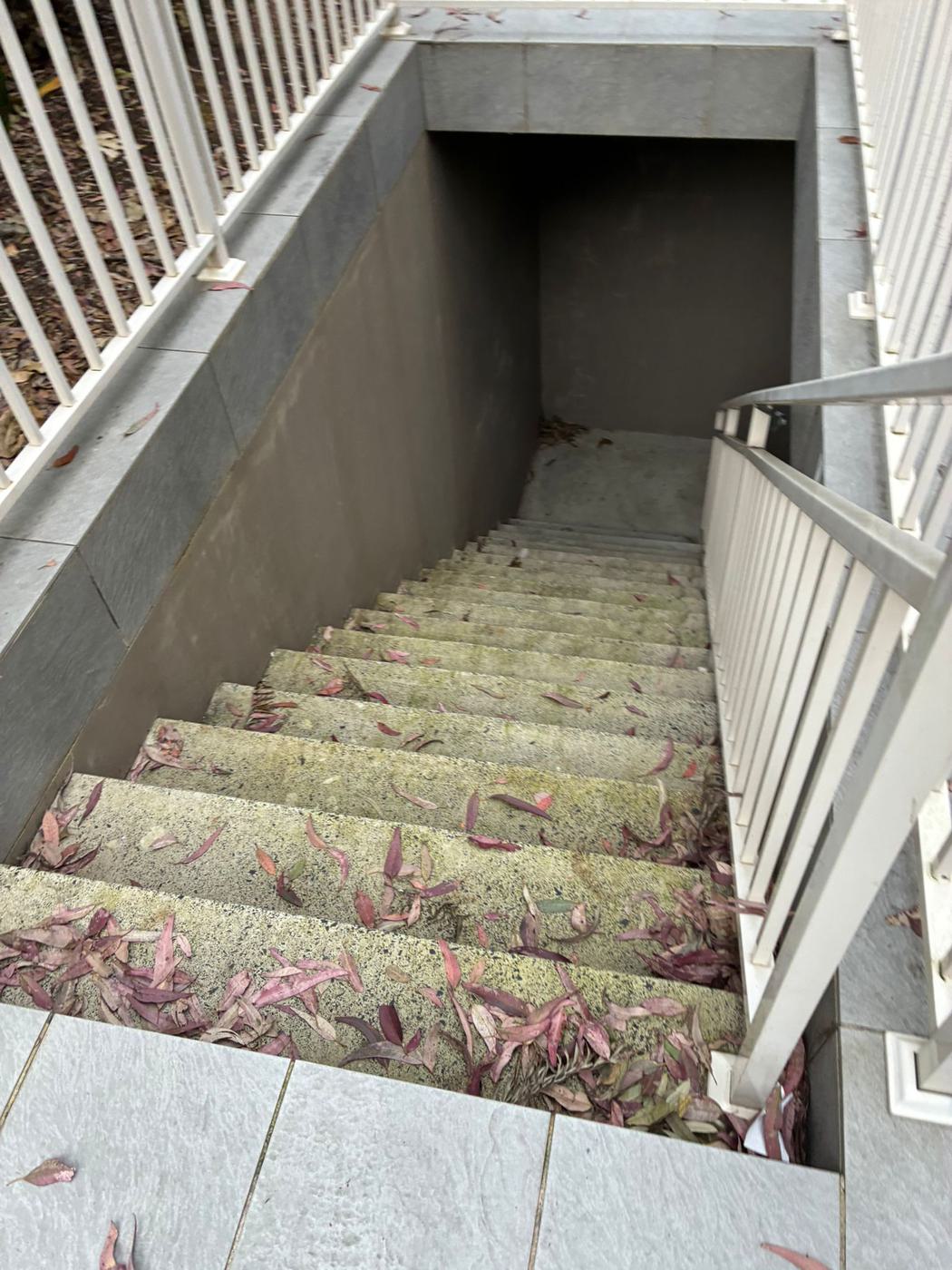 Mossy, leaf-covered concrete stairwell before cleaning