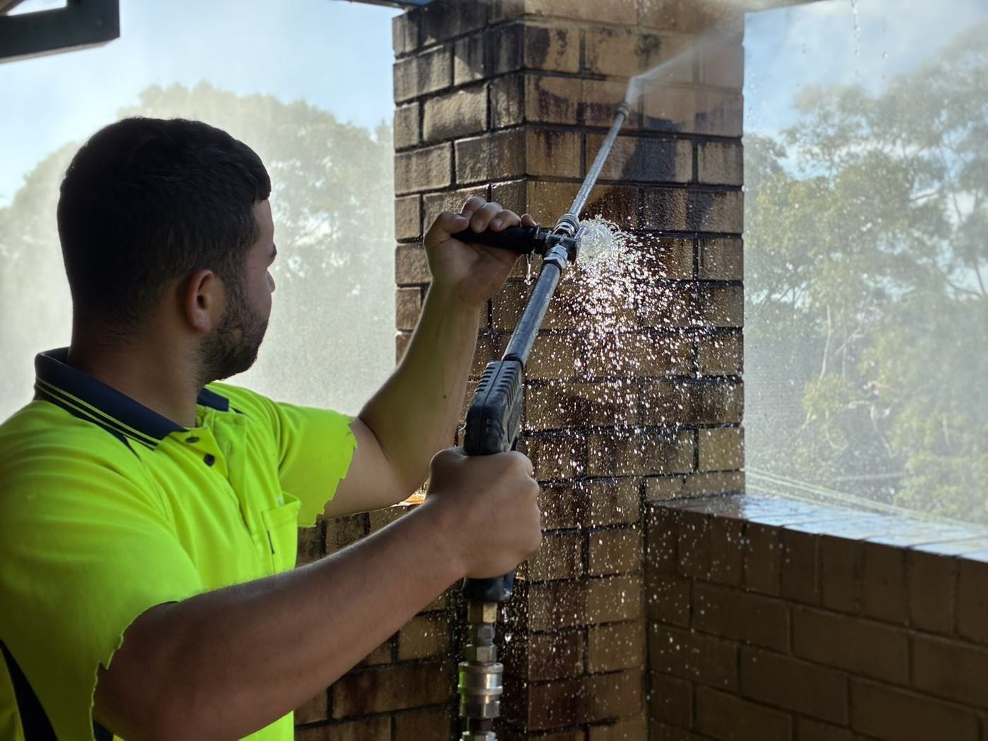 Moss and algae removal