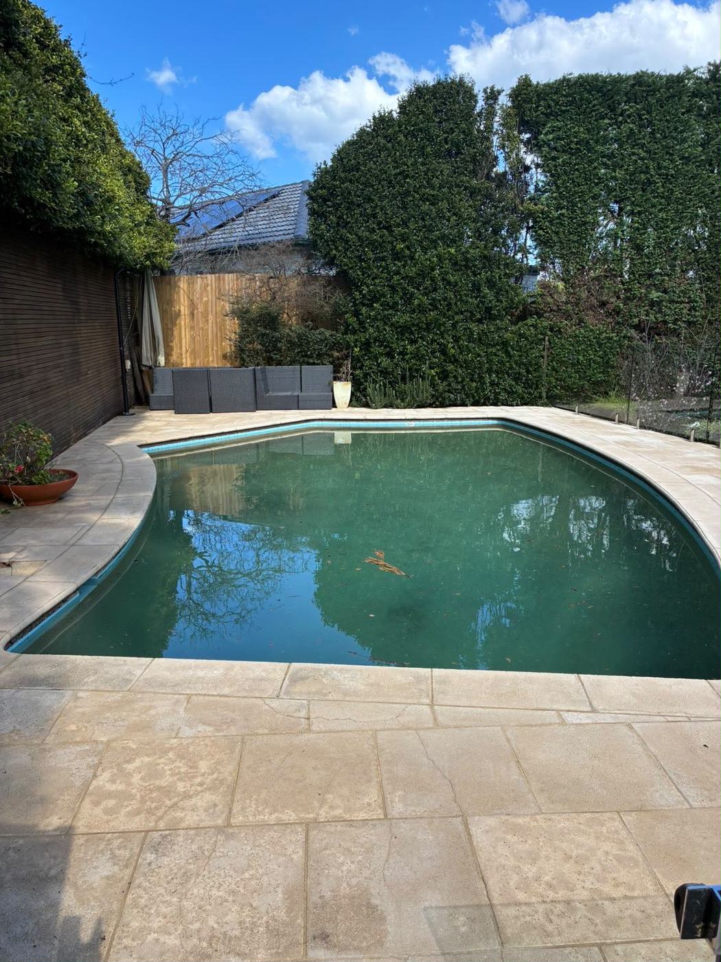 Swimming pool surround cleaning
